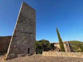 Maison provençale dans village médiéval