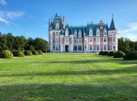 Chateau de la Triboulette，位于Vouzeron的酒店