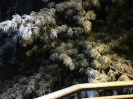 Wood and Fire Chalet