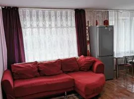 2 комн квартира в центре по Пушкина