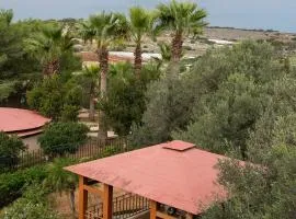 Fun for all the family!