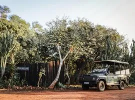 Ubizane Zululand Tree Lodge