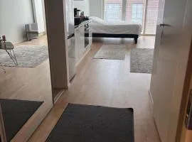 City apartment nearby Airport 2