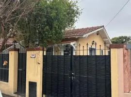 Casita Garden Junquillos
