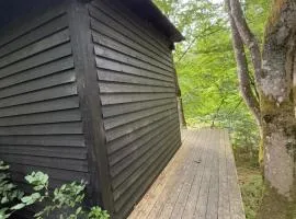 Idylisk primitiv hytte midt i skoven