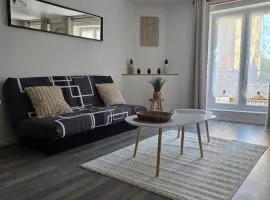 appartement Sedan, France