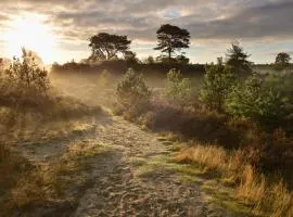 Chalet het zonnehuisje 3 slaapkamers