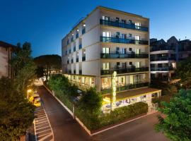 Hotel Carlton，位于里乔内的酒店