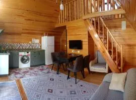 Riviera bungalow evleri demre