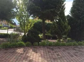 Dreamtime Fam Zimmermann