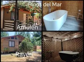 Cabañas Pinos del Mar