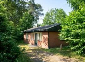 Cozy Forest Retreat Near Putten