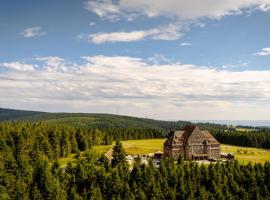 Naturhotel Sachsenbaude Oberwiesenthal - Indoor-Pool & Outdoor-Whirlpool，位于奥泊维森塔尔的酒店
