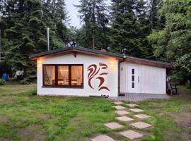 Ferienhaus Waldlicht 3，位于布雷梅尔弗尔德的酒店