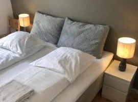 Huset ved springvandet