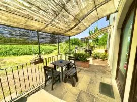 Agriturismo il Pino - Bioagricoltura