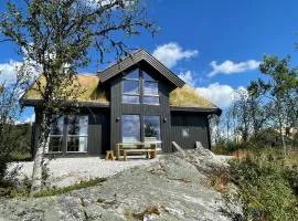 Bjørkebo in Ål - cabin in hiking and skiing area