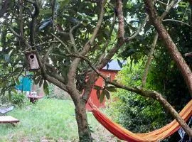 Le Mas des Vignes parisian hacienda