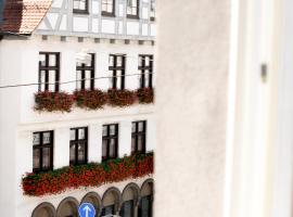 Boutique Apartment LIMONIA - Historic Heart of Ulm，位于乌尔姆的自助式住宿