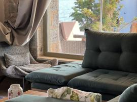 Anemoessa Stone House，位于Kokkala的酒店