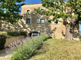 la bergerie de Haute Provence