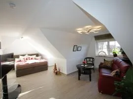 Apartment Kunsthaus Penthouse DG