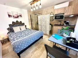 Les Appartements du Mas - Studio Améthyste