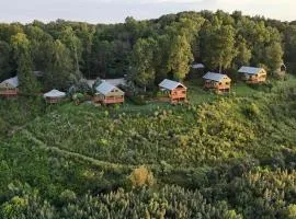 Wildflower Cabin with a private hot tub