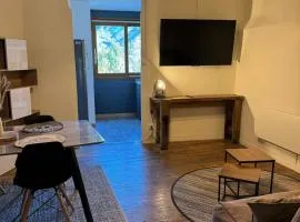 Appartement chaleureux