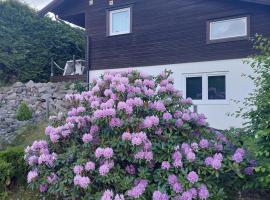 Apartment Strömstad, Lökholmen，位于斯特伦斯塔德的酒店