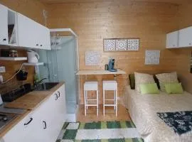 Petit studio isolé en pleine forêt, bain norvégien et sauna
