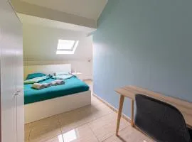 Cosy European Instituts