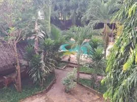 Diani Executive Studio, Blue Swallow
