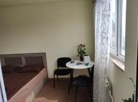 Cosy green room with nice view