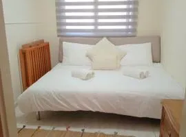 Under the Stars of the Golan