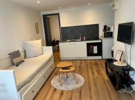 Charmant Studio à Rixheim，位于里克塞姆的酒店