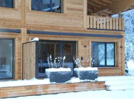 My Chalet Reichenbachfall，位于迈林根的酒店