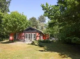 10040-Rorvig-Lyngvaenget-10