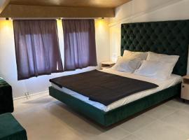 Camellia apartments，位于Lepenica的酒店