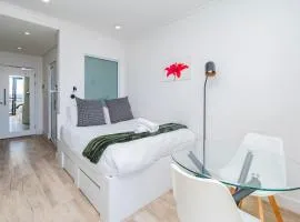 Stylish Studio in One on Albert