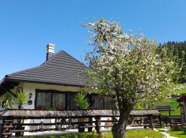 Casa tradițională bucovineana，位于普特纳的酒店