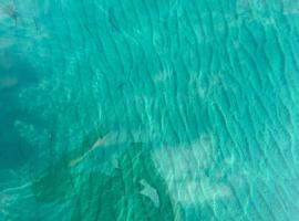 Ayvalik Seafront Villa Mansion Summer House in Ayvalik，位于艾瓦勒克的酒店