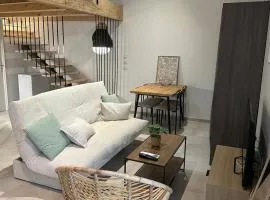 Duplex climatisé avec terrasse et parking privatif