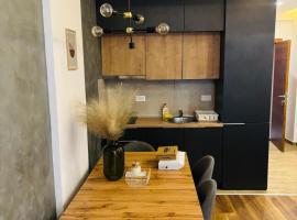 President kop s11 Wellness&spa Free，位于Raška的酒店