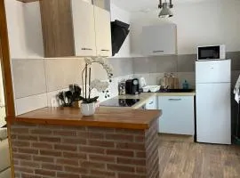 Grand appartement proche centre ville et Rocamadour