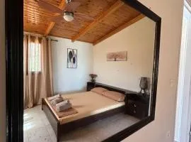 Ziras Traditional Villa