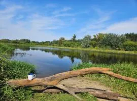 Dom z linią brzegową Narwi 3