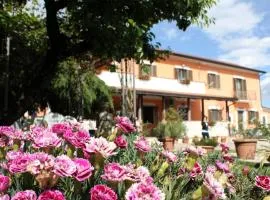 B&B Casale Shanti