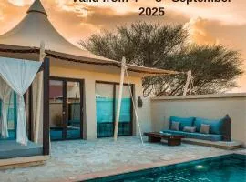 Desert Nights Resort