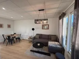 Appartement T2 avec terrasse